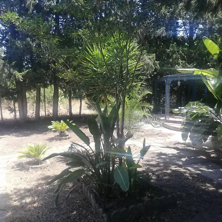 Casa De Huespedes *