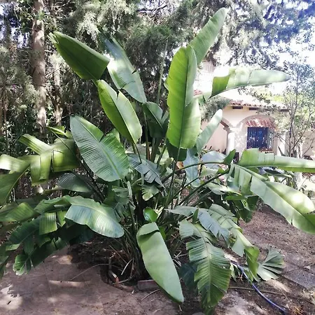 Casa De Huespedes Отель типа 