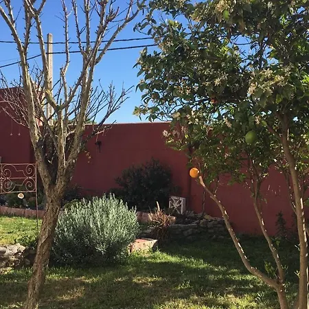 Higos Chumbos, Compartido Chiclana de la Frontera