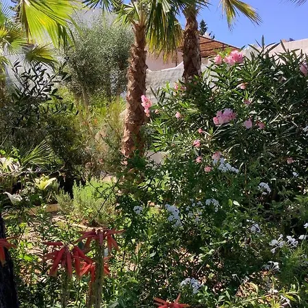 Kasbah Andaluz Pensionat