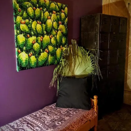 Higos Chumbos, Compartido Konukevi Chiclana de la Frontera