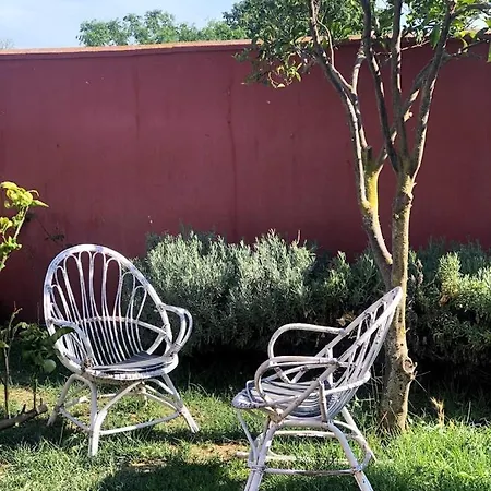 Higos Chumbos, Compartido Konukevi Chiclana de la Frontera