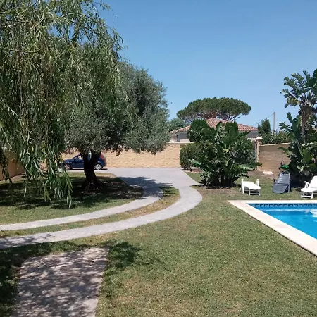 Pura Vida Chiclana de la Frontera