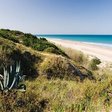 Riu Chiclana 酒店 4*