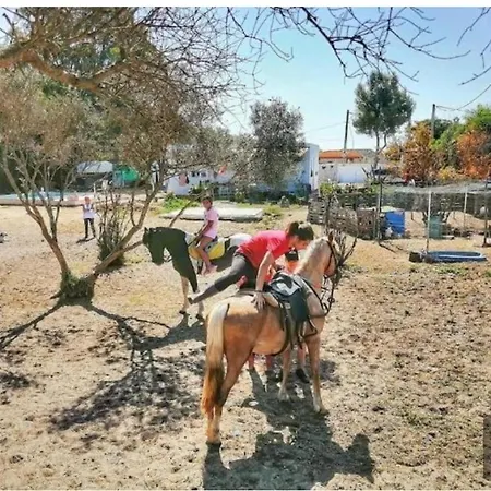 Granja De Caballos El Girasol Semesterpark