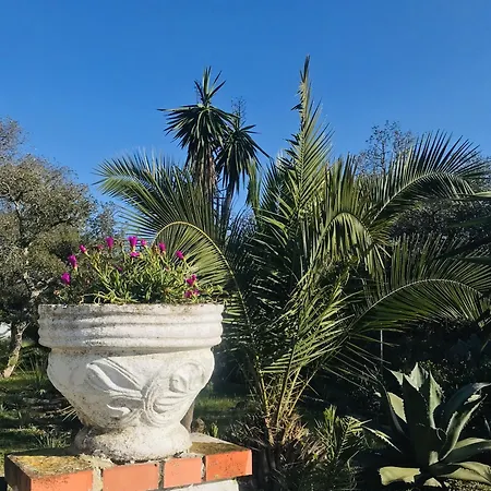 Casa Isabela