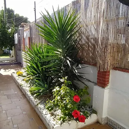 Casa, Piscina, Jacuzzi, Garaje, Barbacoa. * Chiclana de la Frontera