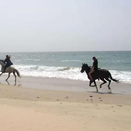 Beautiful In Location *