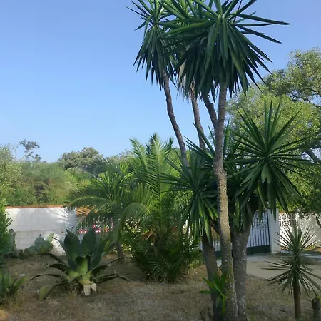 Casa Isabela *