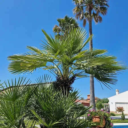 La Casita Chiclana de la Frontera