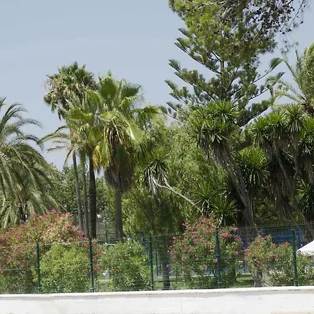 Parque de Campismo Bungalows-camping La Rana Verde