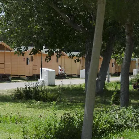 Bungalows-camping La Rana Verde