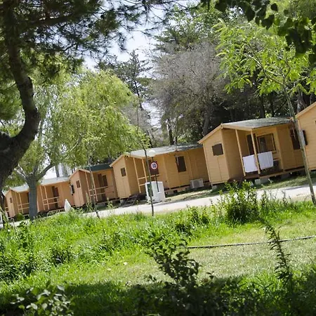 Bungalows-camping La Rana Verde
