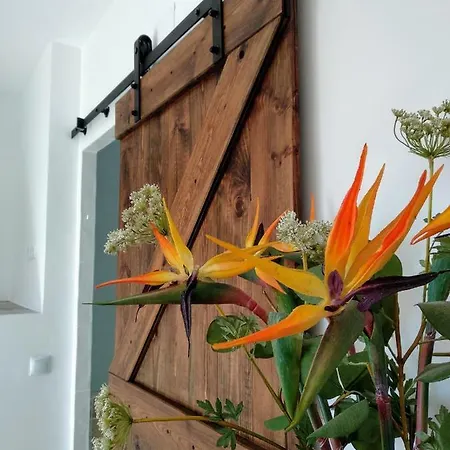 Holiday home La Barrosa Duplex
