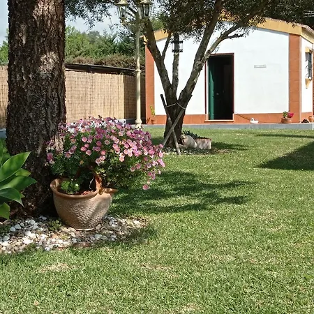 Holiday home Roma Chiclana de la Frontera