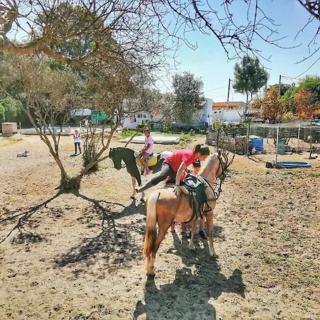 Granja America