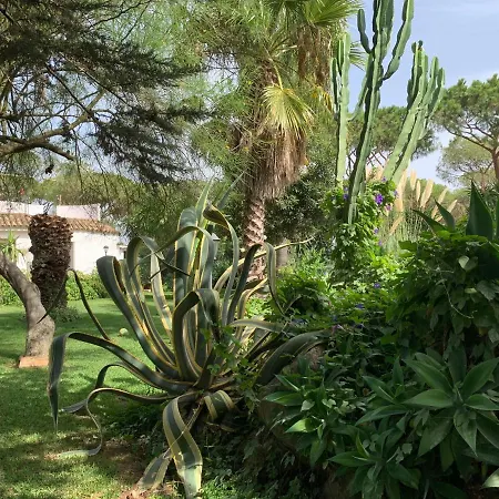 בית הארחה Finca Filpi