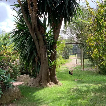 בית הארחה Finca Filpi *