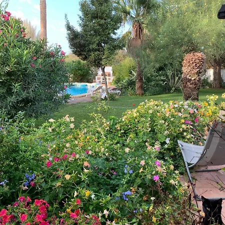 Finca Filpi צ'יקלנה דה לה פרונטרה