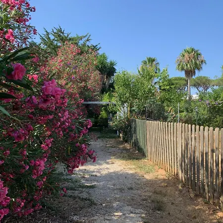 Finca Filpi