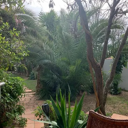 Finca Filpi * צ'יקלנה דה לה פרונטרה