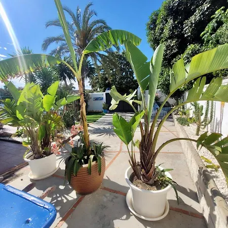 Gatu Premium Lurberri Piscina Privada, 4 Dormitorios, 2 Banos, Parking , Jardines, 