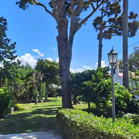 Con Piscina Privada Y Jardin * Chiclana de la Frontera