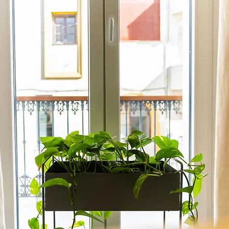 Appart hôtel Casa De La Vega *
