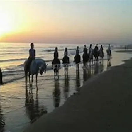 Holiday home Bungalow, Suenos Del Sur!