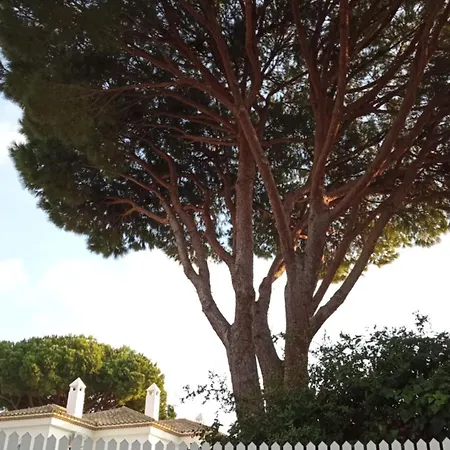 Apartment La Barrosa - Chiclana - Urb. Pinar Atlantico *