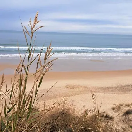 Apartamento Con Encanto En Chiclana * Chiclana de la Frontera