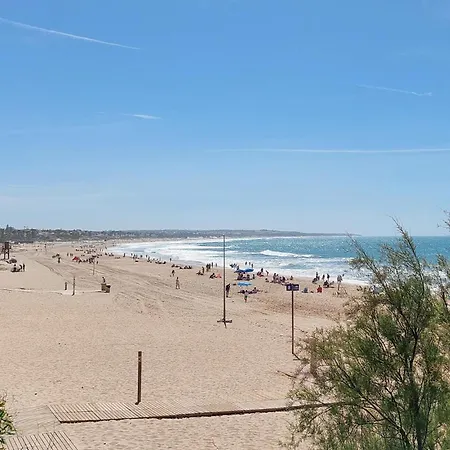 Pet Friendly In Chiclana de la Frontera