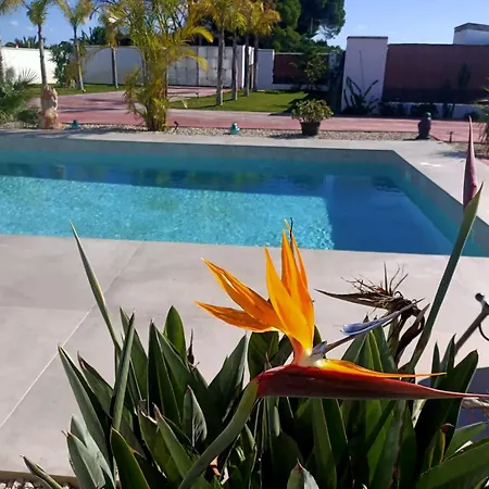 Villa Spacious With Pool In Chiclana de la Frontera