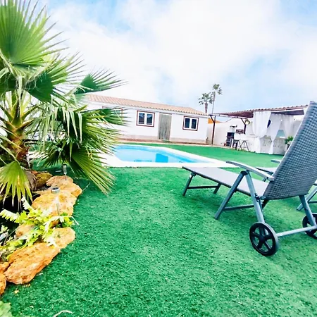Puravidachiclana *