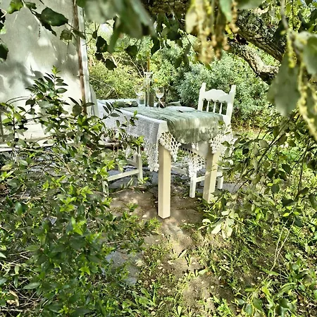 Luxe tent Glamping - La Casa Del Piano Chiclana de la Frontera