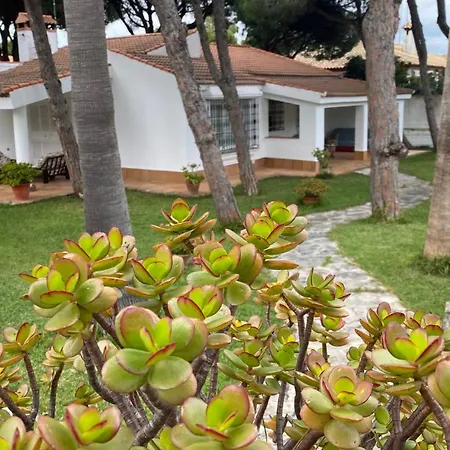 En La Barrosa Holiday home *