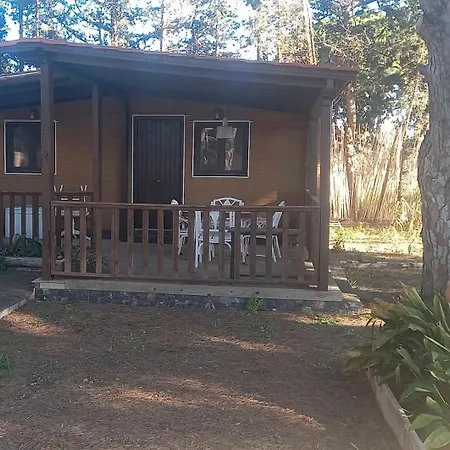 La De La Pinaleta Holiday home Chiclana de la Frontera