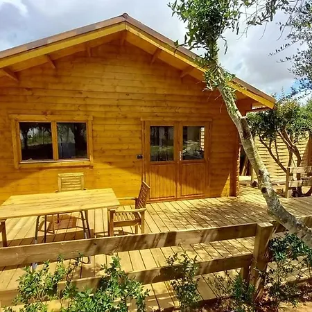 Cosy In Cadiz Holiday home *