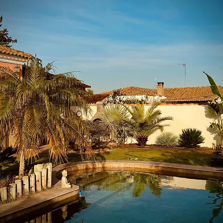 Casa Tropical Apartment Chiclana de la Frontera