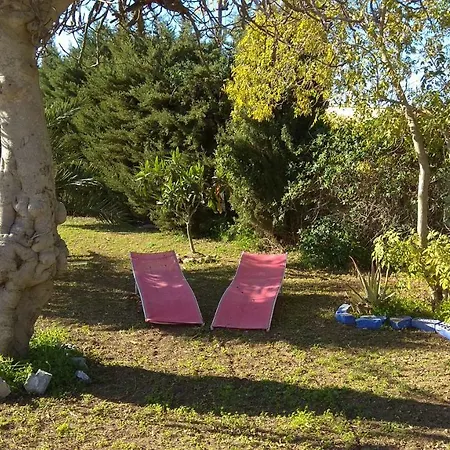 Fig Tree Holiday home Chiclana de la Frontera