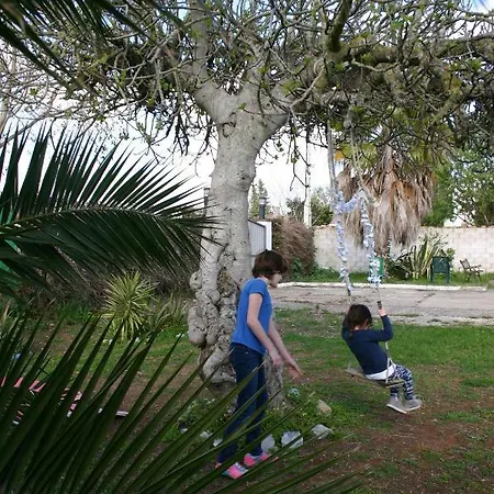 Fig Tree *