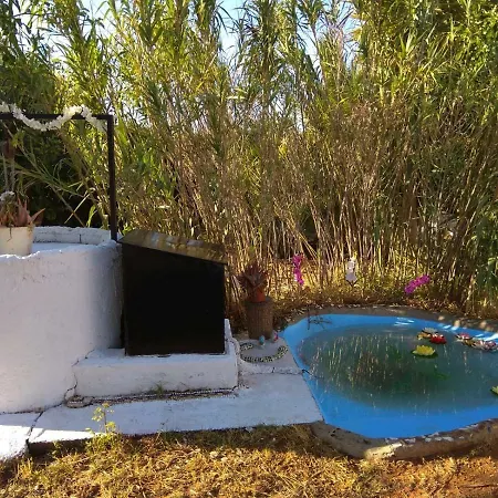Holiday home Fig Tree Chiclana de la Frontera