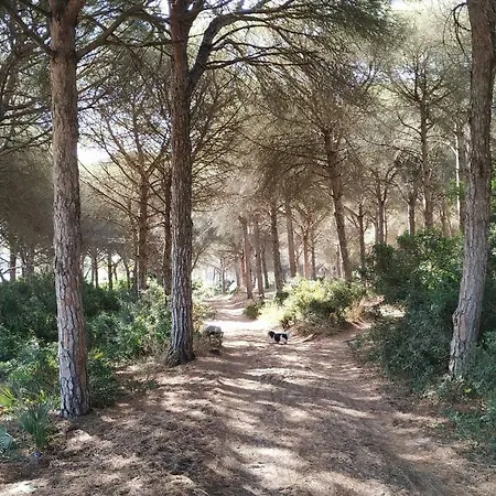 Сasa de vacaciones Tranquila Casa De Madera