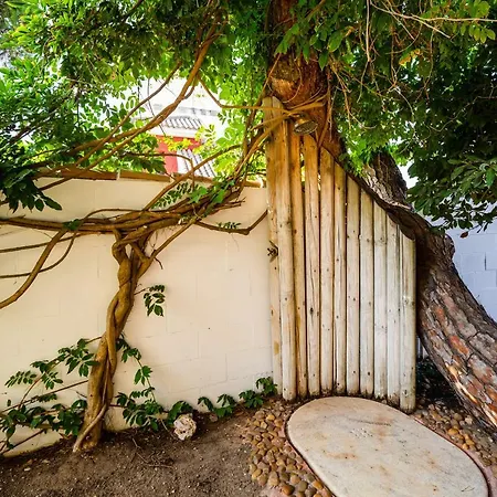 Casa Los Laureles *