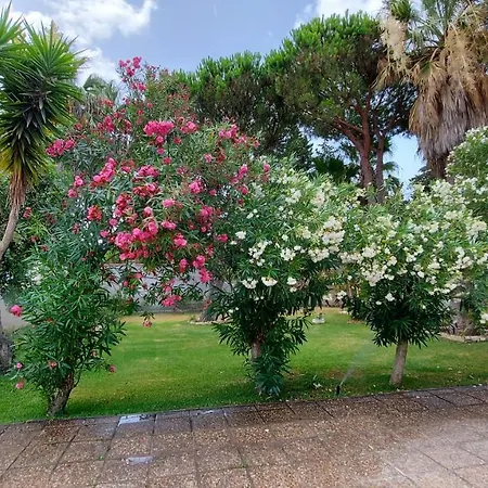 El Cortijo *