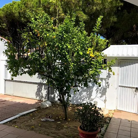 Chalet Nervión cerca la Barrosa Сasa de vacaciones *