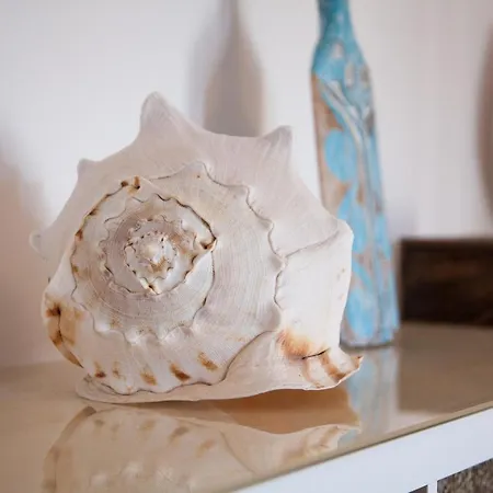 Mar Y Villas - Raices Del Sur Bed and breakfast 3*
