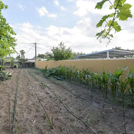 Шале Rincon De La Huerta