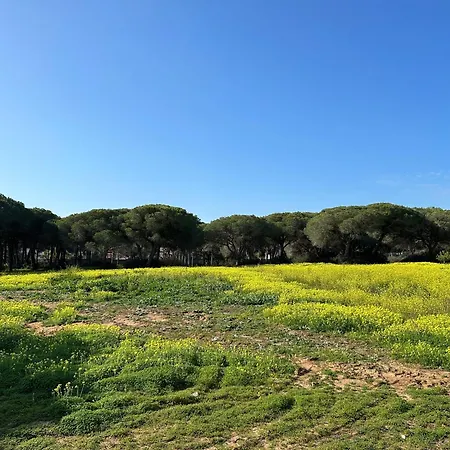 Magnolia Y Brezo Villa Chiclana de la Frontera