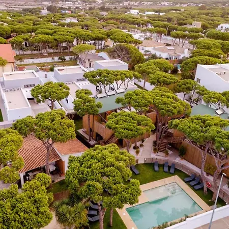 Biopasivos Living Pura Madera